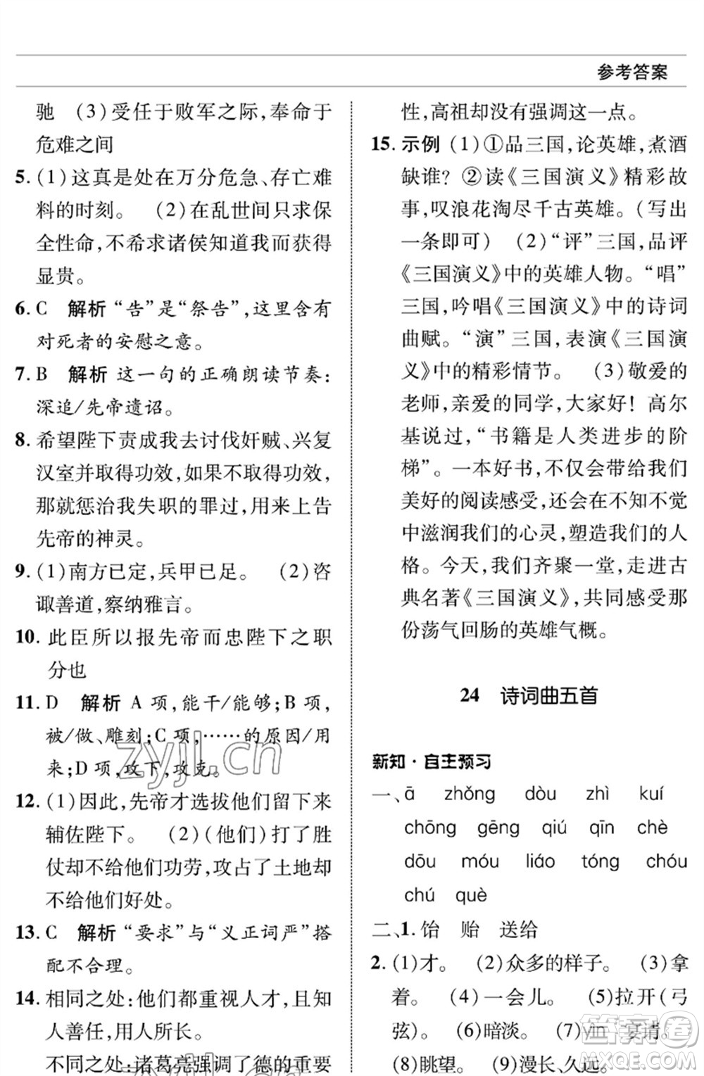 北京師范大學(xué)出版社2023語文配套綜合練習(xí)九年級(jí)下冊(cè)人教版參考答案