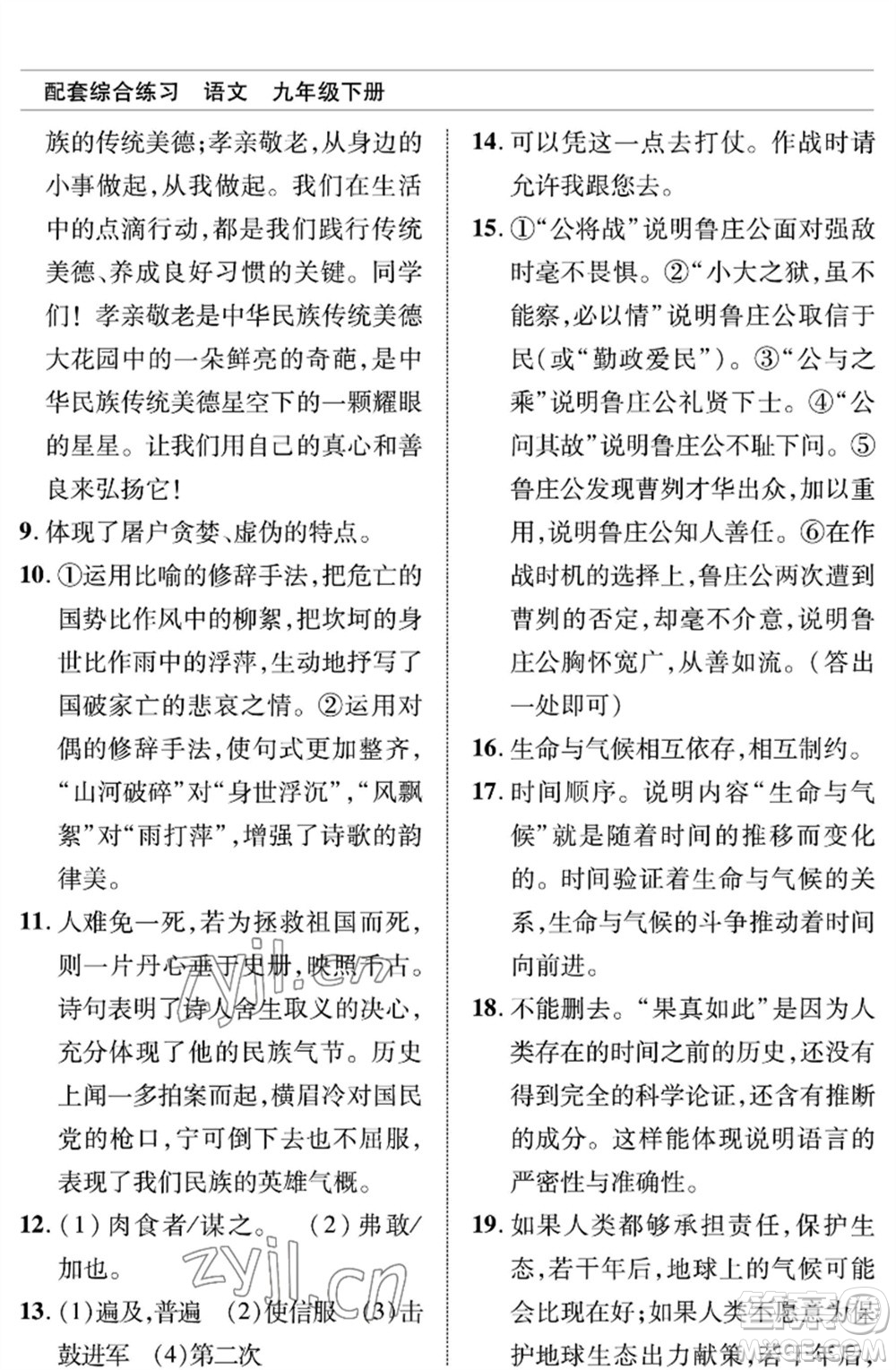 北京師范大學(xué)出版社2023語文配套綜合練習(xí)九年級(jí)下冊(cè)人教版參考答案