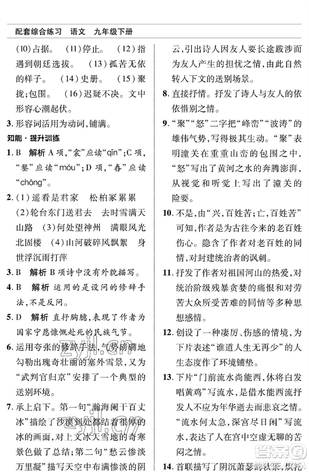 北京師范大學(xué)出版社2023語文配套綜合練習(xí)九年級(jí)下冊(cè)人教版參考答案