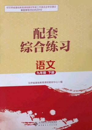 北京師范大學(xué)出版社2023語文配套綜合練習(xí)九年級(jí)下冊(cè)人教版參考答案