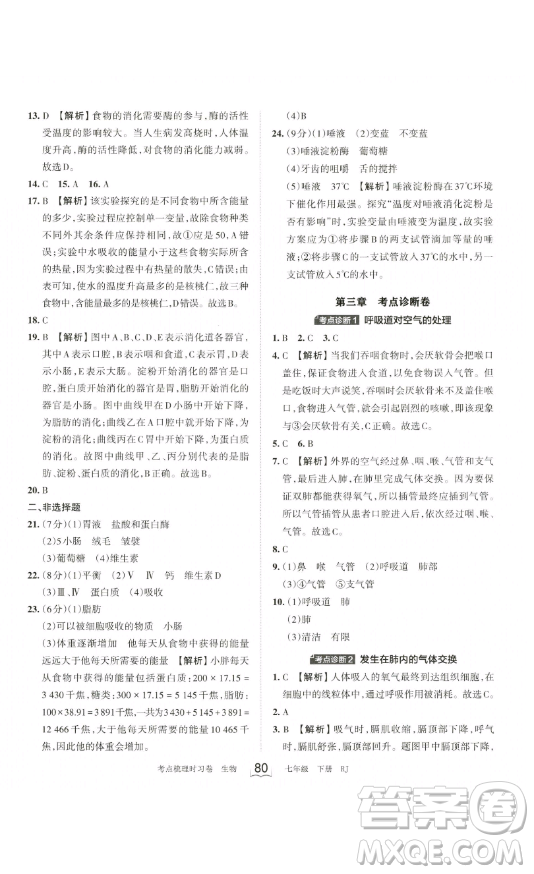 江西人民出版社2023王朝霞考點(diǎn)梳理時(shí)習(xí)卷七年級(jí)下冊(cè)生物人教版答案