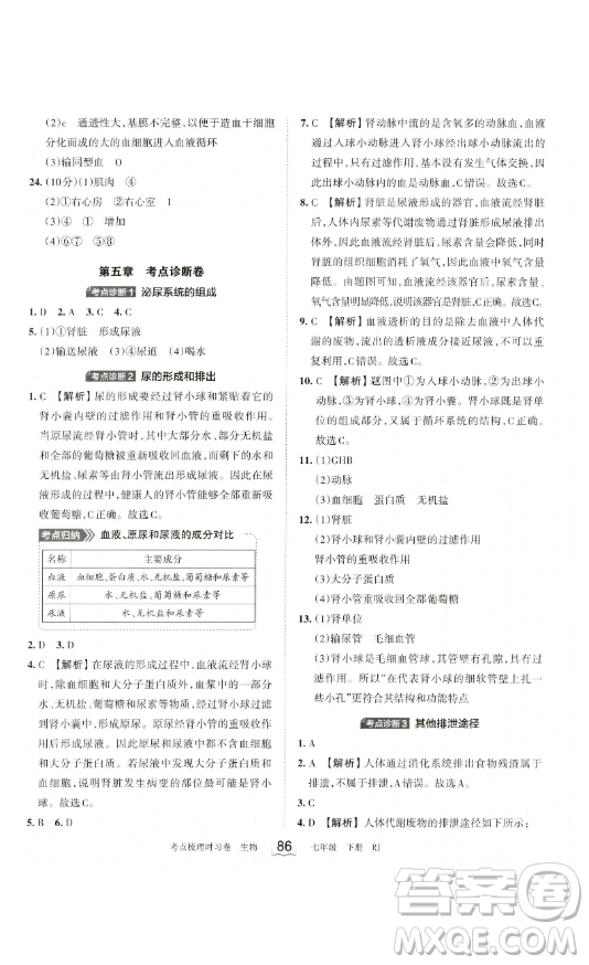 江西人民出版社2023王朝霞考點(diǎn)梳理時(shí)習(xí)卷七年級(jí)下冊(cè)生物人教版答案