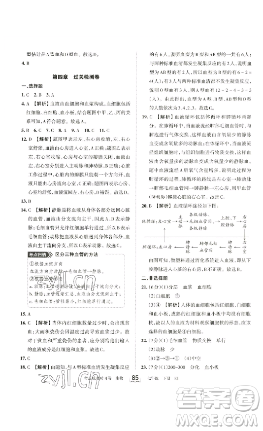 江西人民出版社2023王朝霞考點(diǎn)梳理時(shí)習(xí)卷七年級(jí)下冊(cè)生物人教版答案