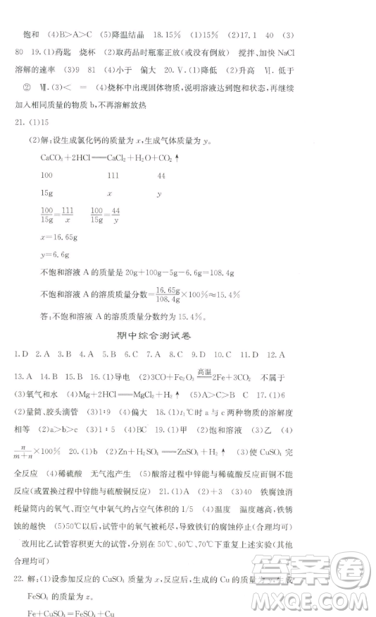 四川大學(xué)出版社2023名校課堂內(nèi)外九年級(jí)化學(xué)下冊(cè)人教版答案