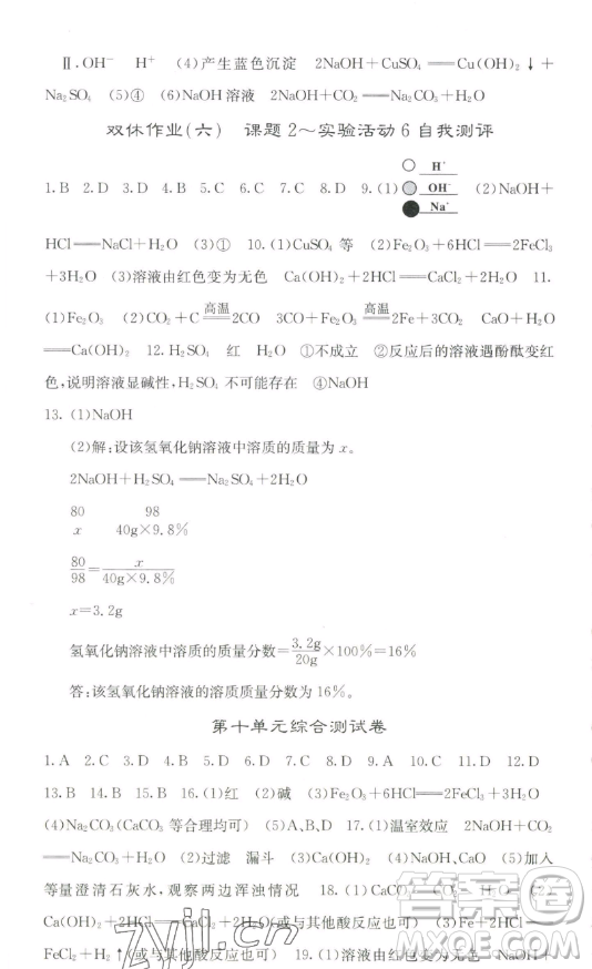 四川大學(xué)出版社2023名校課堂內(nèi)外九年級(jí)化學(xué)下冊(cè)人教版答案