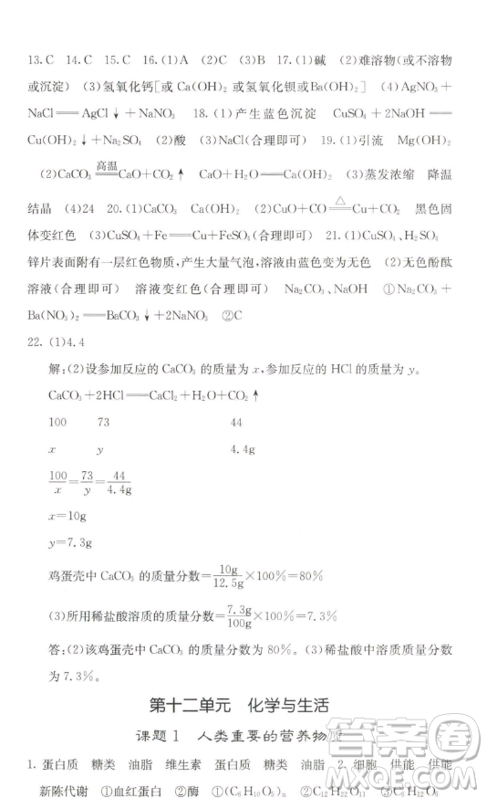 四川大學(xué)出版社2023名校課堂內(nèi)外九年級(jí)化學(xué)下冊(cè)人教版答案