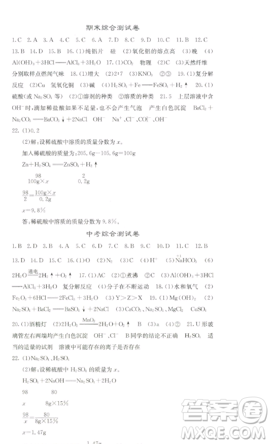 四川大學(xué)出版社2023名校課堂內(nèi)外九年級(jí)化學(xué)下冊(cè)人教版答案