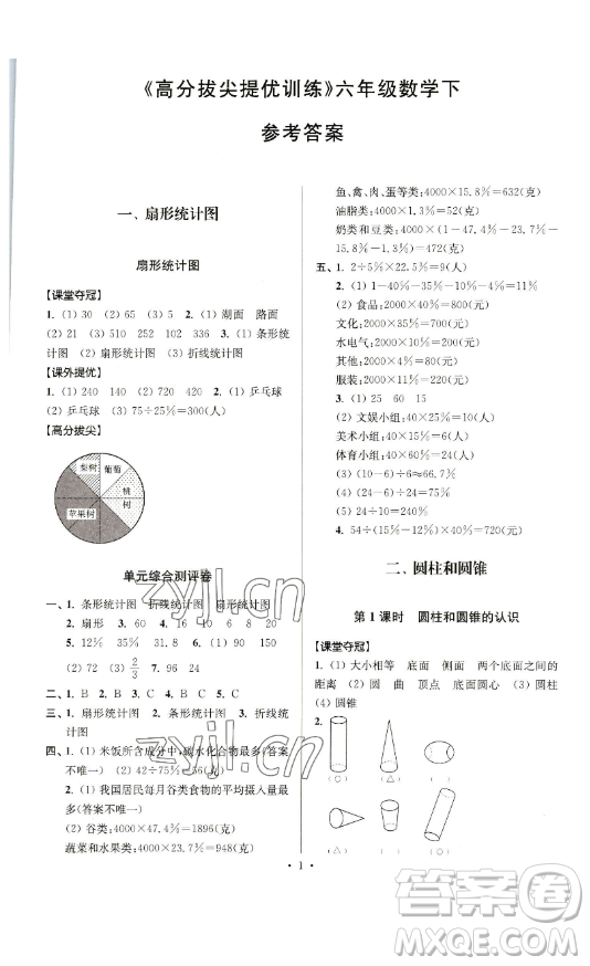 江蘇人民出版社2023高分拔尖提優(yōu)訓(xùn)練六年級(jí)下冊(cè)數(shù)學(xué)蘇教版江蘇專版參考答案