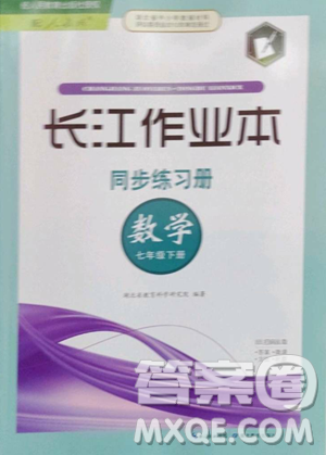 湖北教育出版社2023長江作業(yè)本同步練習(xí)冊七年級數(shù)學(xué)下冊人教版參考答案