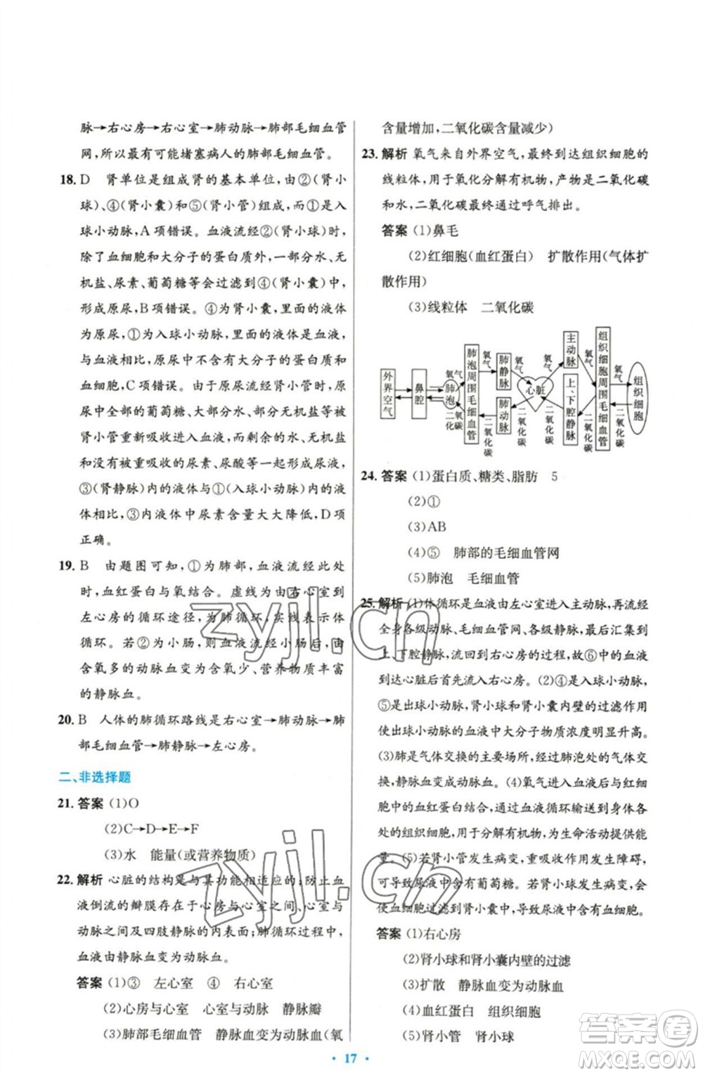 人民教育出版社2023初中同步測(cè)控優(yōu)化設(shè)計(jì)七年級(jí)生物下冊(cè)人教版精編版參考答案