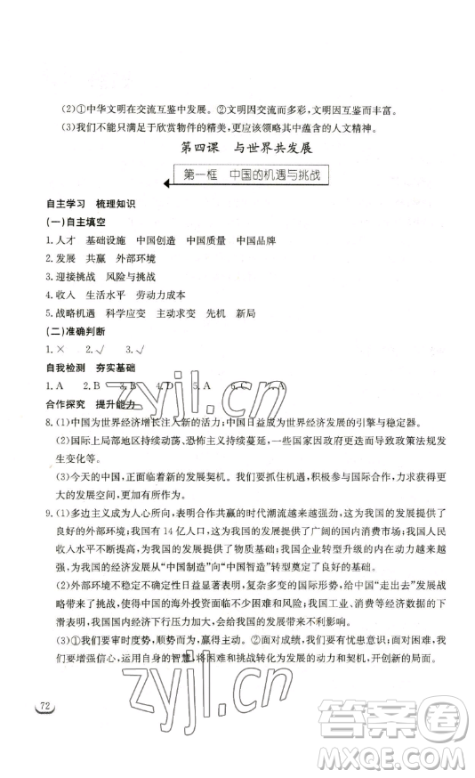 湖北教育出版社2023長江作業(yè)本同步練習冊九年級道德與法治下冊人教版參考答案