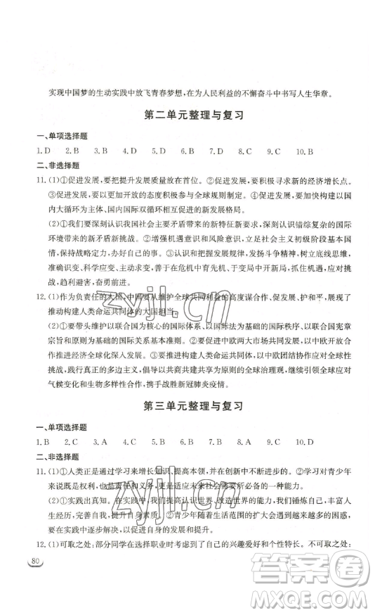 湖北教育出版社2023長江作業(yè)本同步練習冊九年級道德與法治下冊人教版參考答案