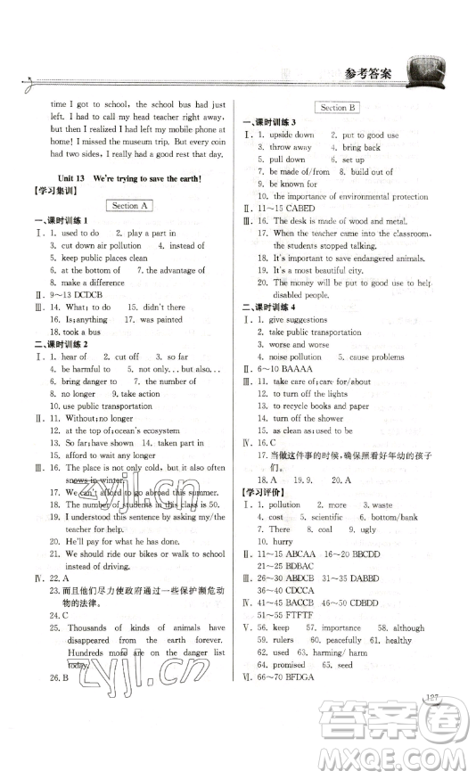 湖北教育出版社2023長江作業(yè)本同步練習(xí)冊九年級英語下冊人教版參考答案