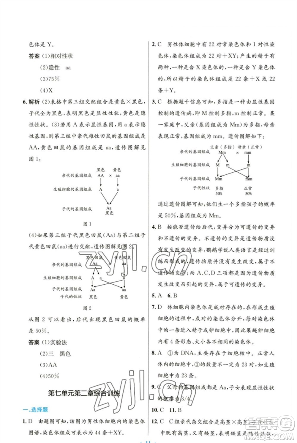 人民教育出版社2023初中同步測(cè)控優(yōu)化設(shè)計(jì)八年級(jí)生物下冊(cè)人教版參考答案