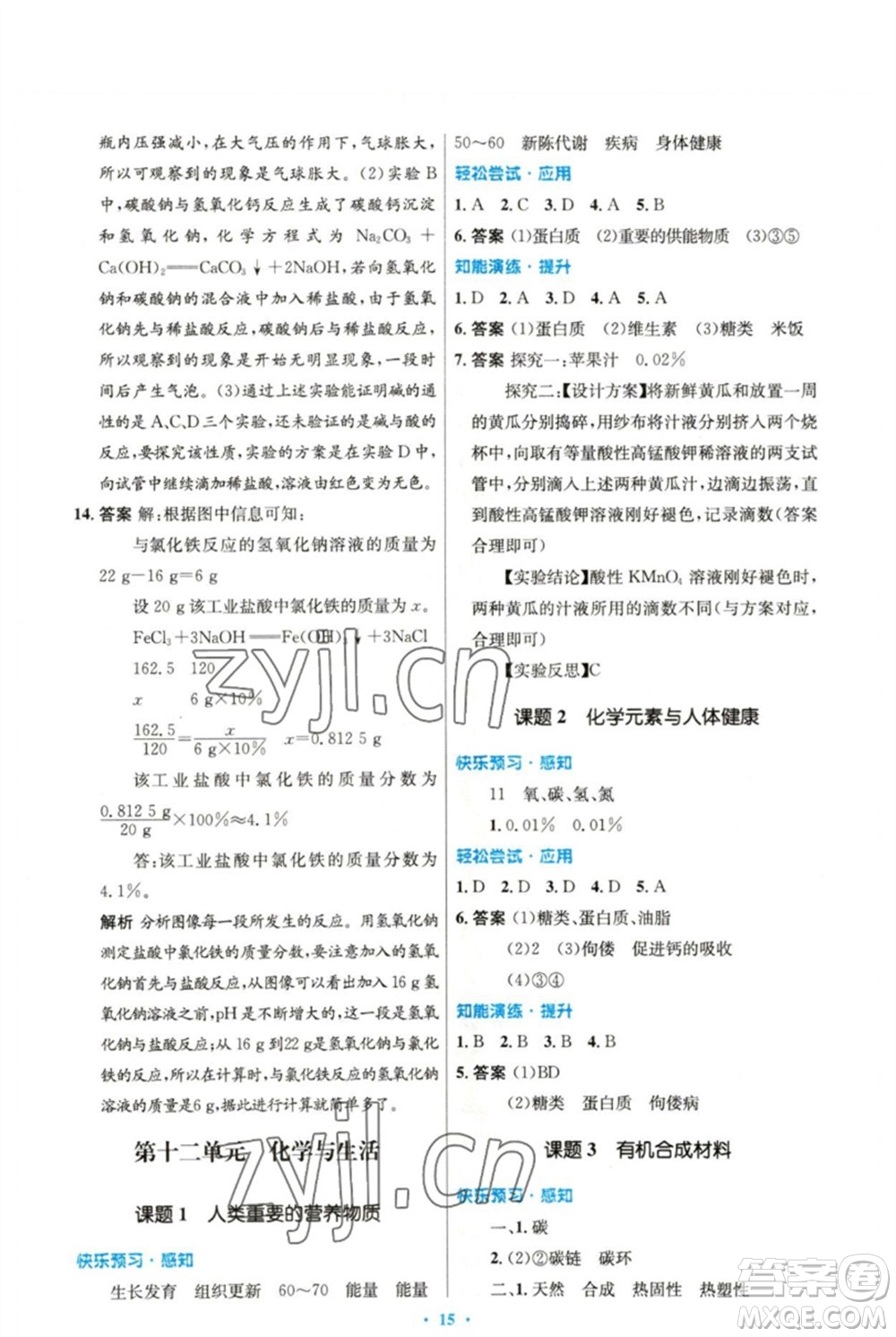 人民教育出版社2023初中同步測(cè)控優(yōu)化設(shè)計(jì)九年級(jí)化學(xué)下冊(cè)人教版精編版參考答案