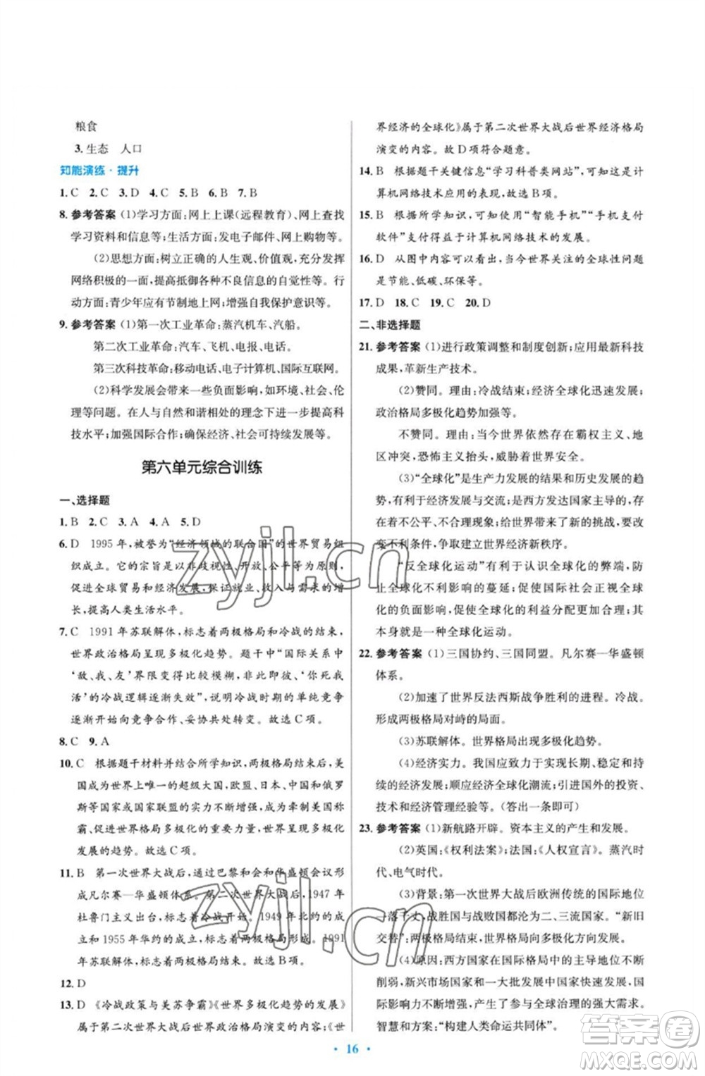 人民教育出版社2023初中同步測控優(yōu)化設(shè)計九年級世界歷史下冊人教版福建專版參考答案