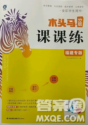 湖南師范大學(xué)出版社2023木頭馬分層課課練四年級語文下冊部編版福建專版參考答案