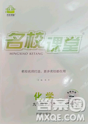 開明出版社2023名校課堂九年級(jí)化學(xué)下冊(cè)人教版參考答案