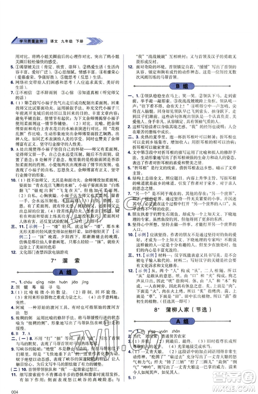 天津教育出版社2023學(xué)習(xí)質(zhì)量監(jiān)測九年級語文下冊人教版參考答案