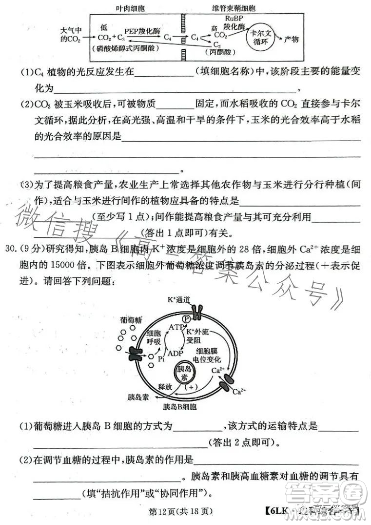 全國(guó)大聯(lián)考2023屆高三第六次聯(lián)考6LK理科綜合試卷答案