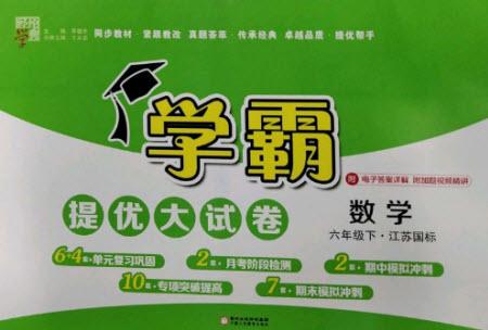 寧夏人民教育出版社2023學霸提優(yōu)大試卷六年級數(shù)學下冊江蘇版參考答案