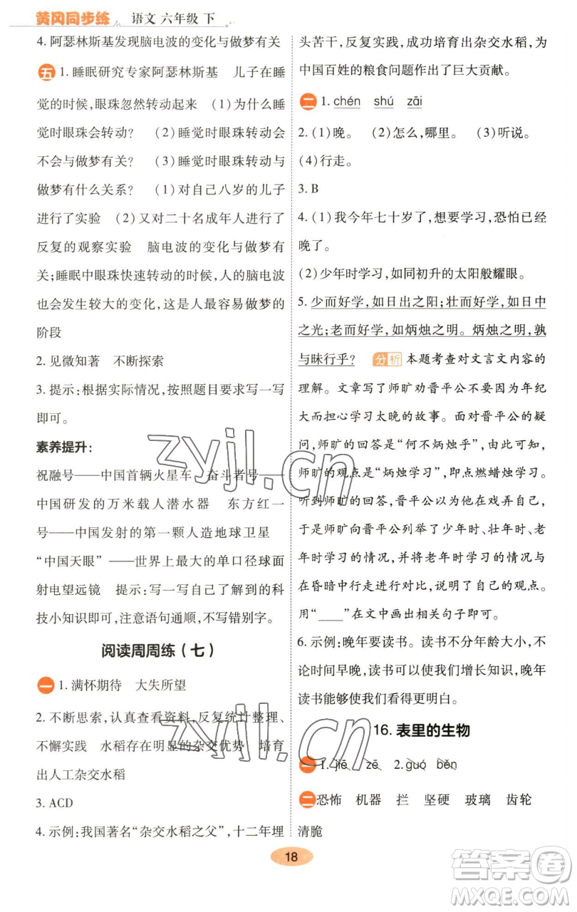 陜西師范大學(xué)出版總社有限公司2023黃岡同步練六年級(jí)語(yǔ)文下冊(cè)人教版參考答案