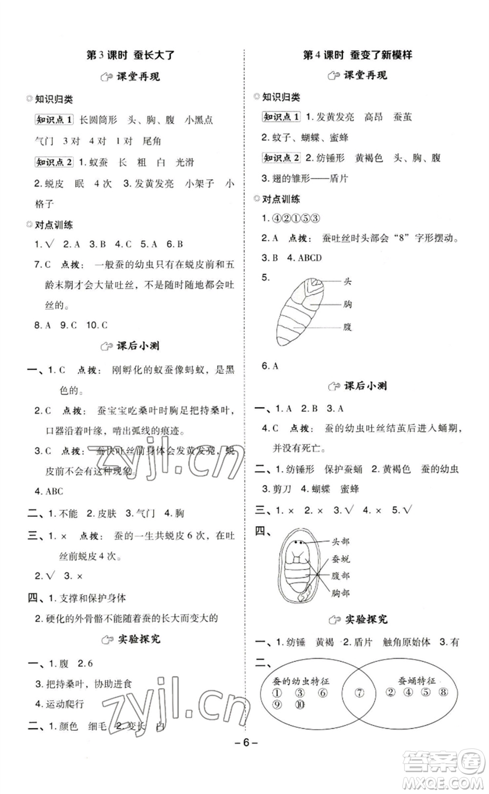 山西教育出版社2023綜合應(yīng)用創(chuàng)新題典中點(diǎn)三年級(jí)科學(xué)下冊(cè)教科版參考答案