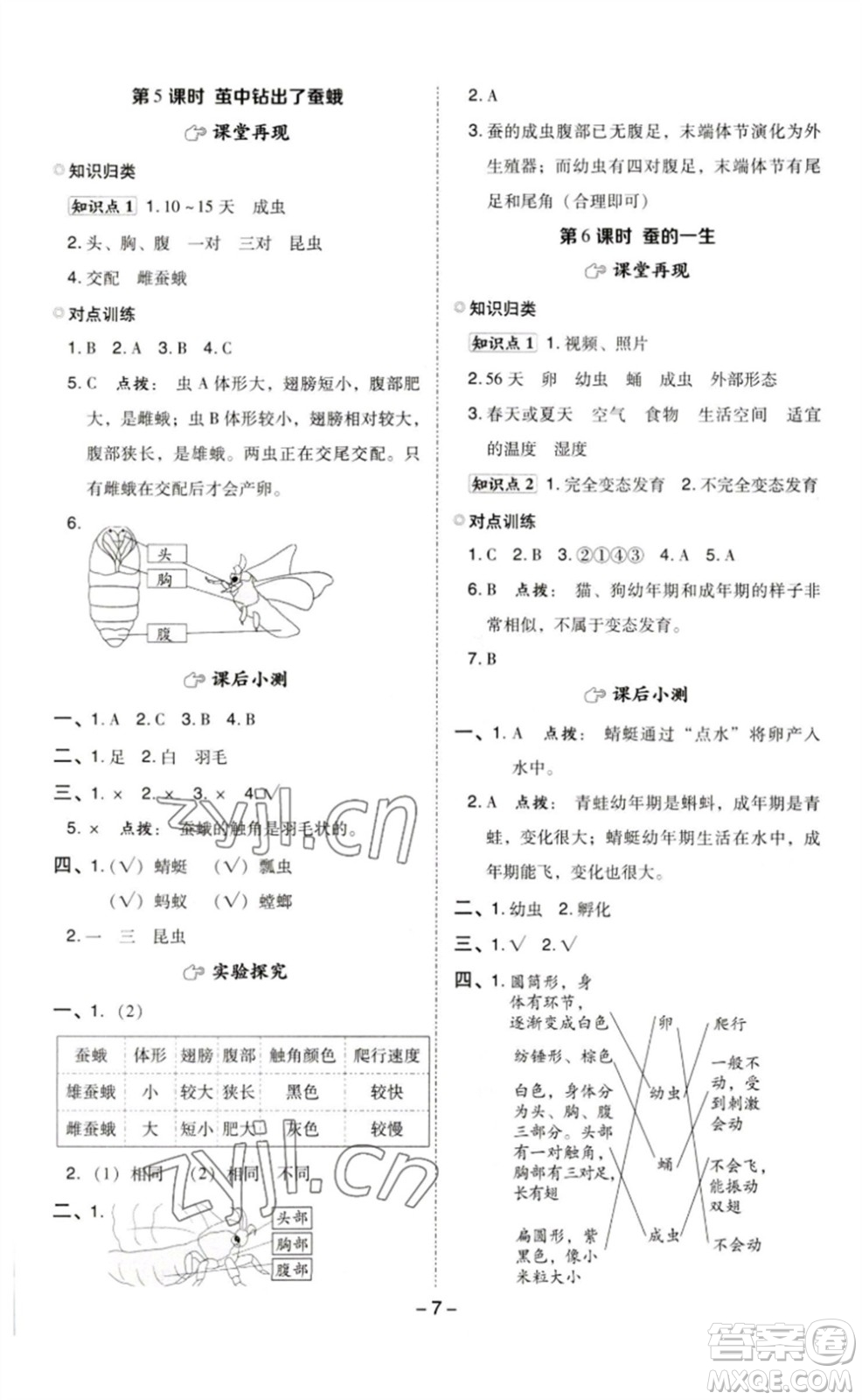 山西教育出版社2023綜合應(yīng)用創(chuàng)新題典中點(diǎn)三年級(jí)科學(xué)下冊(cè)教科版參考答案