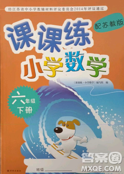 ?譯林出版社2023課課練小學數(shù)學六年級下冊蘇教版答案