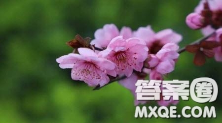 一個(gè)人的生活狀態(tài)常常與心理狀態(tài)有關(guān)的材料作文800字