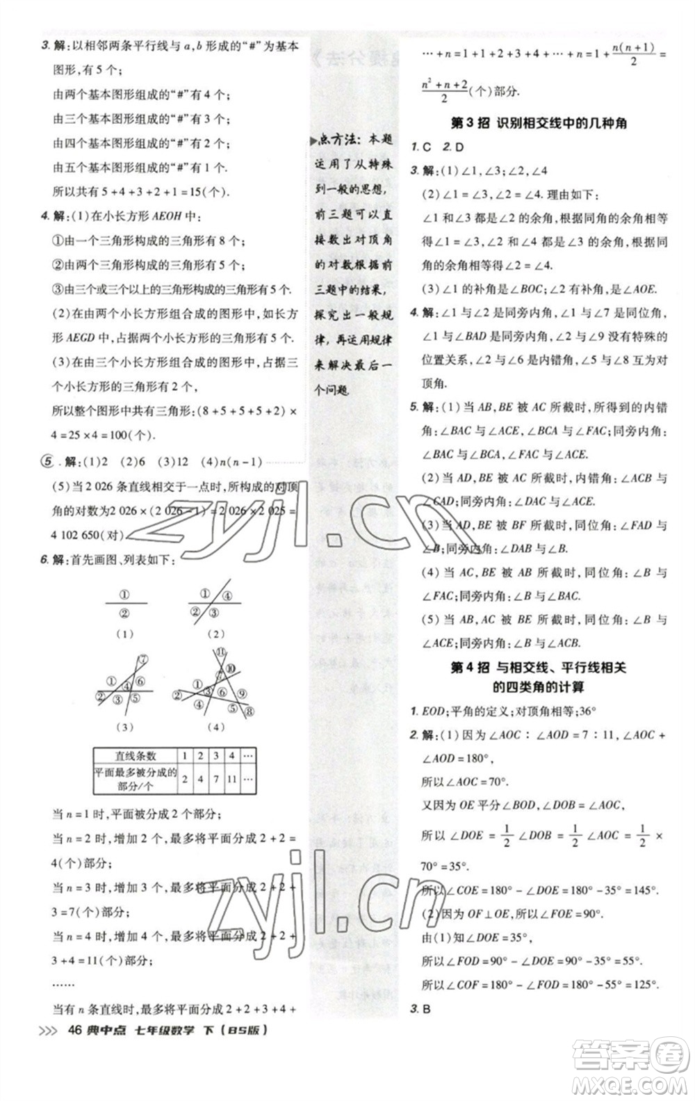 陜西人民教育出版社2023綜合應(yīng)用創(chuàng)新題典中點(diǎn)七年級(jí)數(shù)學(xué)下冊(cè)北師大版參考答案