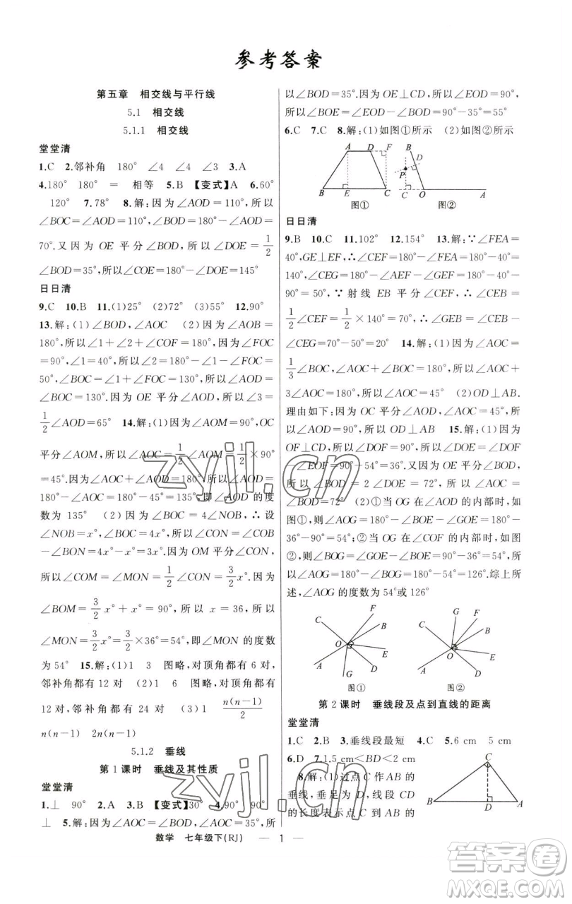 新疆青少年出版社2023四清導(dǎo)航七年級下冊數(shù)學人教版河南專版參考答案