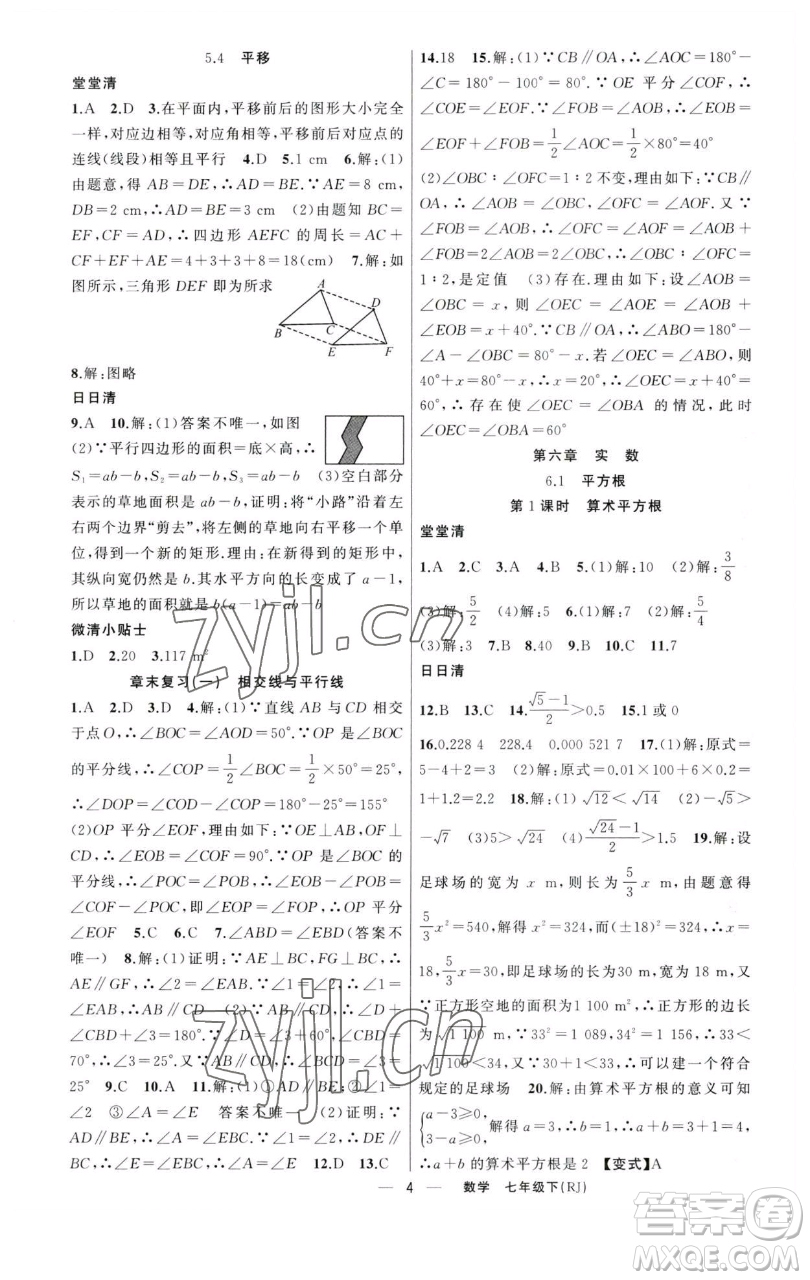 新疆青少年出版社2023四清導(dǎo)航七年級下冊數(shù)學人教版河南專版參考答案