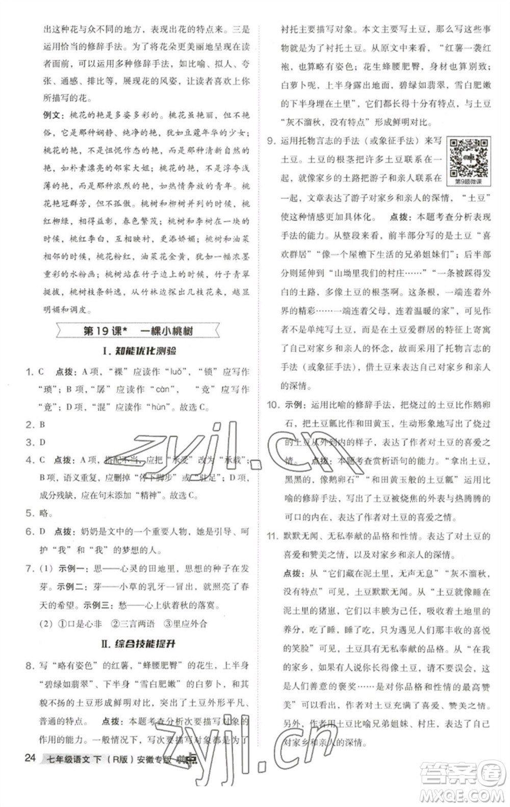 吉林教育出版社2023綜合應用創(chuàng)新題典中點七年級語文下冊人教版安徽專版參考答案