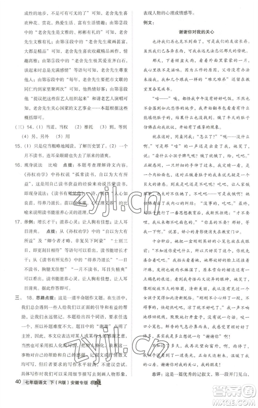 吉林教育出版社2023綜合應用創(chuàng)新題典中點七年級語文下冊人教版安徽專版參考答案