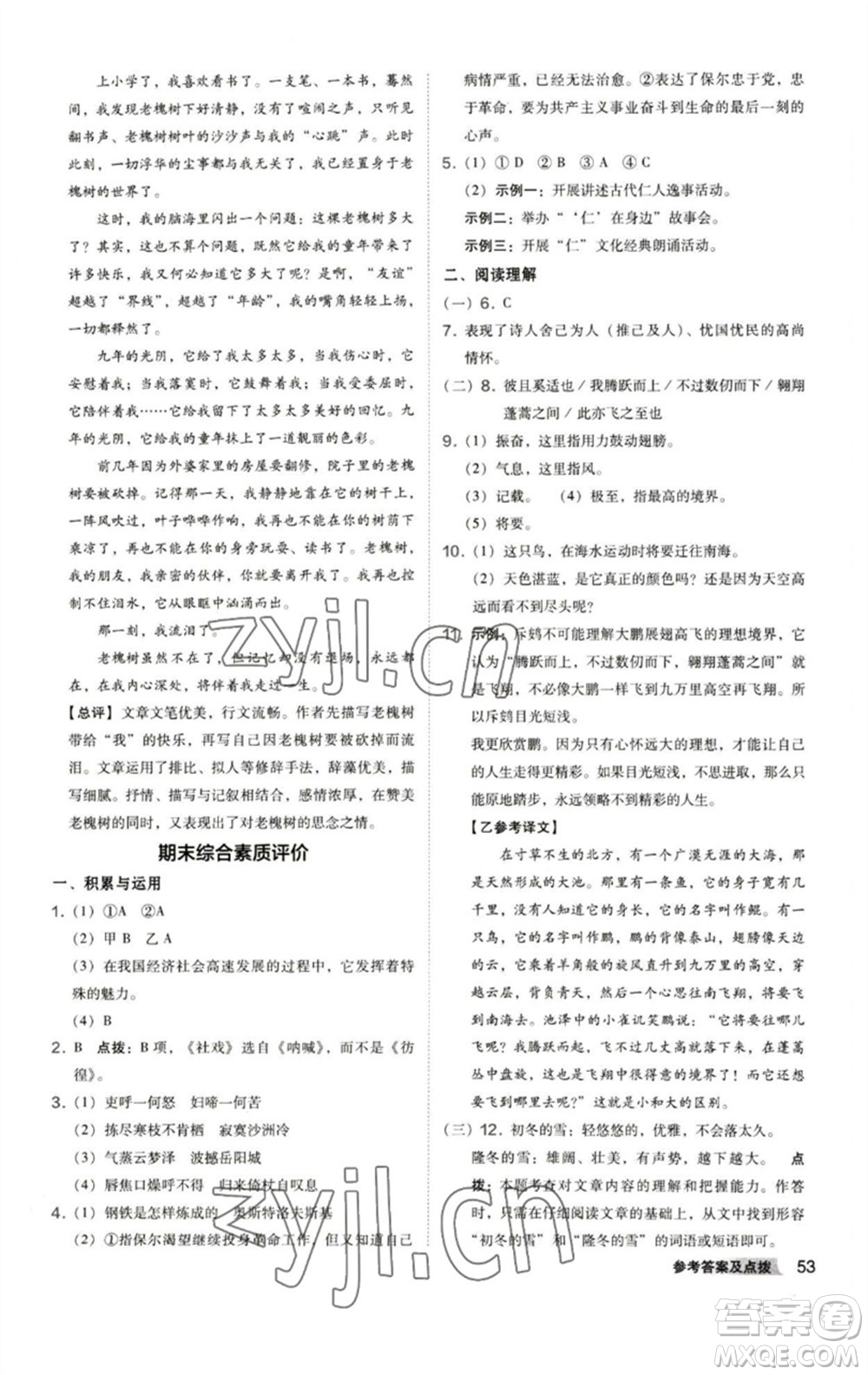 陜西人民教育出版社2023綜合應(yīng)用創(chuàng)新題典中點(diǎn)八年級(jí)語(yǔ)文下冊(cè)人教版參考答案