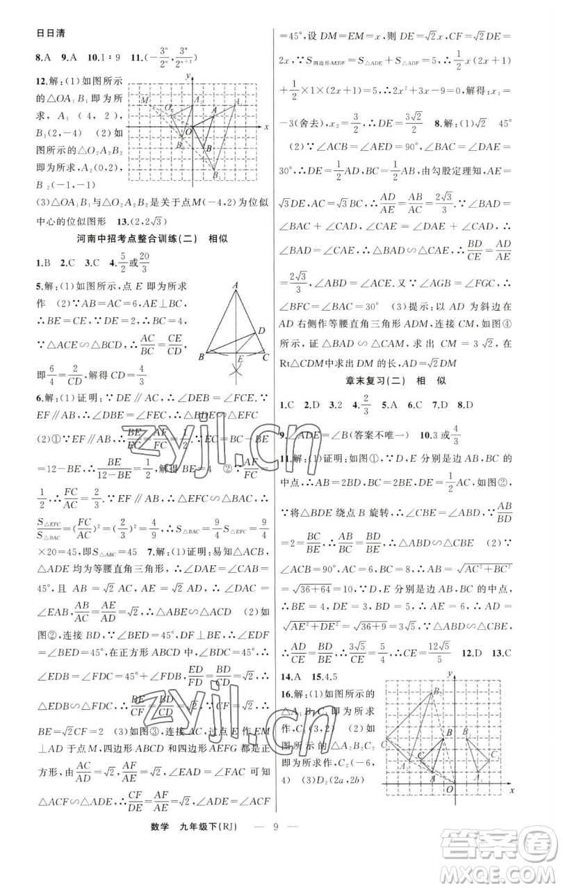 新疆青少年出版社2023四清導(dǎo)航九年級(jí)下冊(cè)數(shù)學(xué)人教版河南專版參考答案