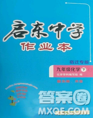 龍門書局2023啟東中學(xué)作業(yè)本九年級(jí)下冊(cè)化學(xué)魯教版宿遷專版參考答案