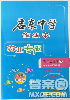 龍門書局2023啟東中學(xué)作業(yè)本九年級下冊化學(xué)人教版蘇北專版參考答案