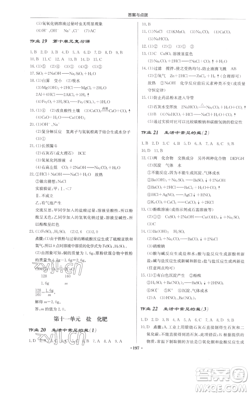 龍門書局2023啟東中學(xué)作業(yè)本九年級下冊化學(xué)人教版蘇北專版參考答案