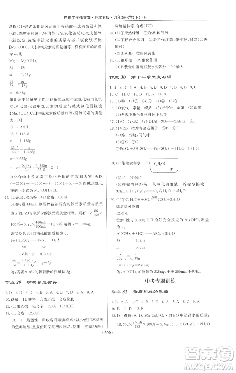 龍門書局2023啟東中學(xué)作業(yè)本九年級下冊化學(xué)人教版蘇北專版參考答案