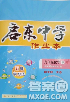 龍門書局2023啟東中學(xué)作業(yè)本九年級(jí)下冊(cè)化學(xué)滬教版參考答案