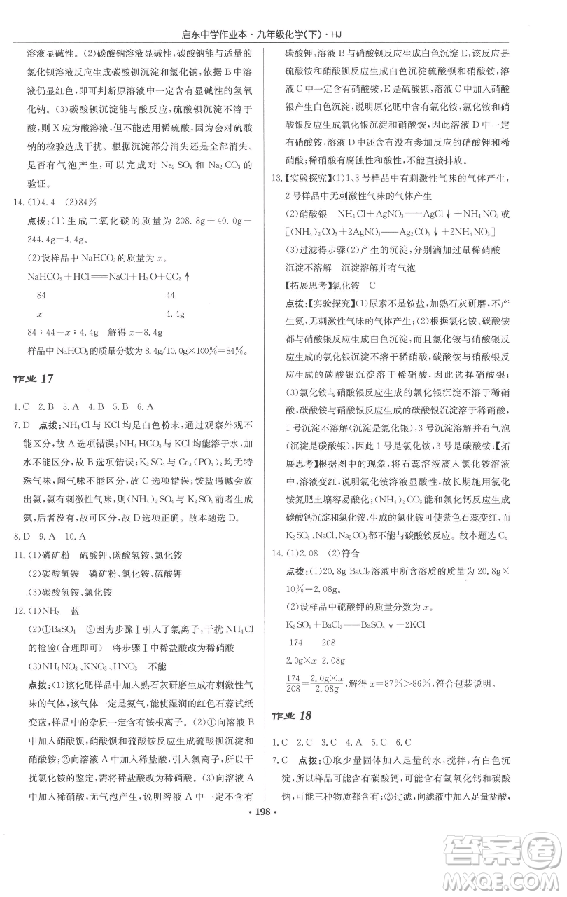 龍門書局2023啟東中學(xué)作業(yè)本九年級(jí)下冊(cè)化學(xué)滬教版參考答案