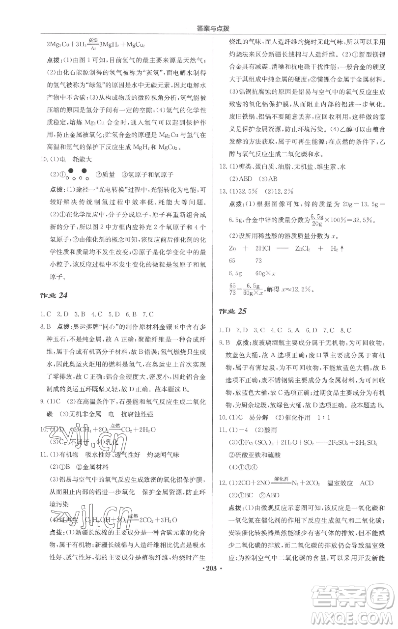 龍門書局2023啟東中學(xué)作業(yè)本九年級(jí)下冊(cè)化學(xué)滬教版參考答案