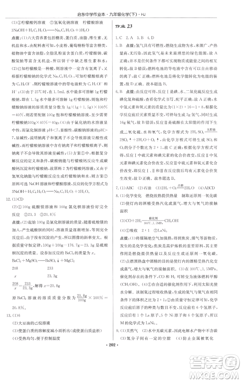 龍門書局2023啟東中學(xué)作業(yè)本九年級(jí)下冊(cè)化學(xué)滬教版參考答案