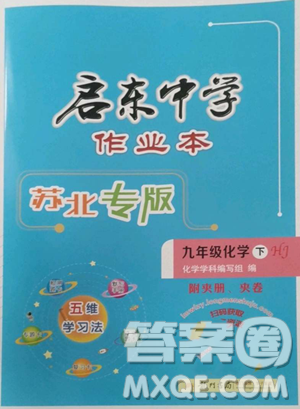 龍門書局2023啟東中學(xué)作業(yè)本九年級(jí)下冊(cè)化學(xué)滬教版蘇北專版參考答案