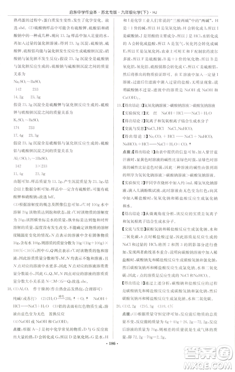 龍門書局2023啟東中學(xué)作業(yè)本九年級(jí)下冊(cè)化學(xué)滬教版蘇北專版參考答案