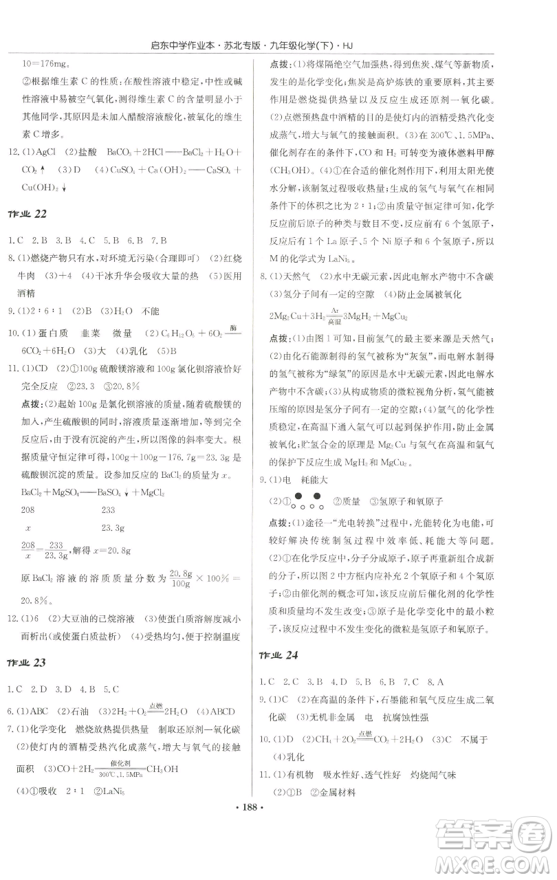 龍門書局2023啟東中學(xué)作業(yè)本九年級(jí)下冊(cè)化學(xué)滬教版蘇北專版參考答案