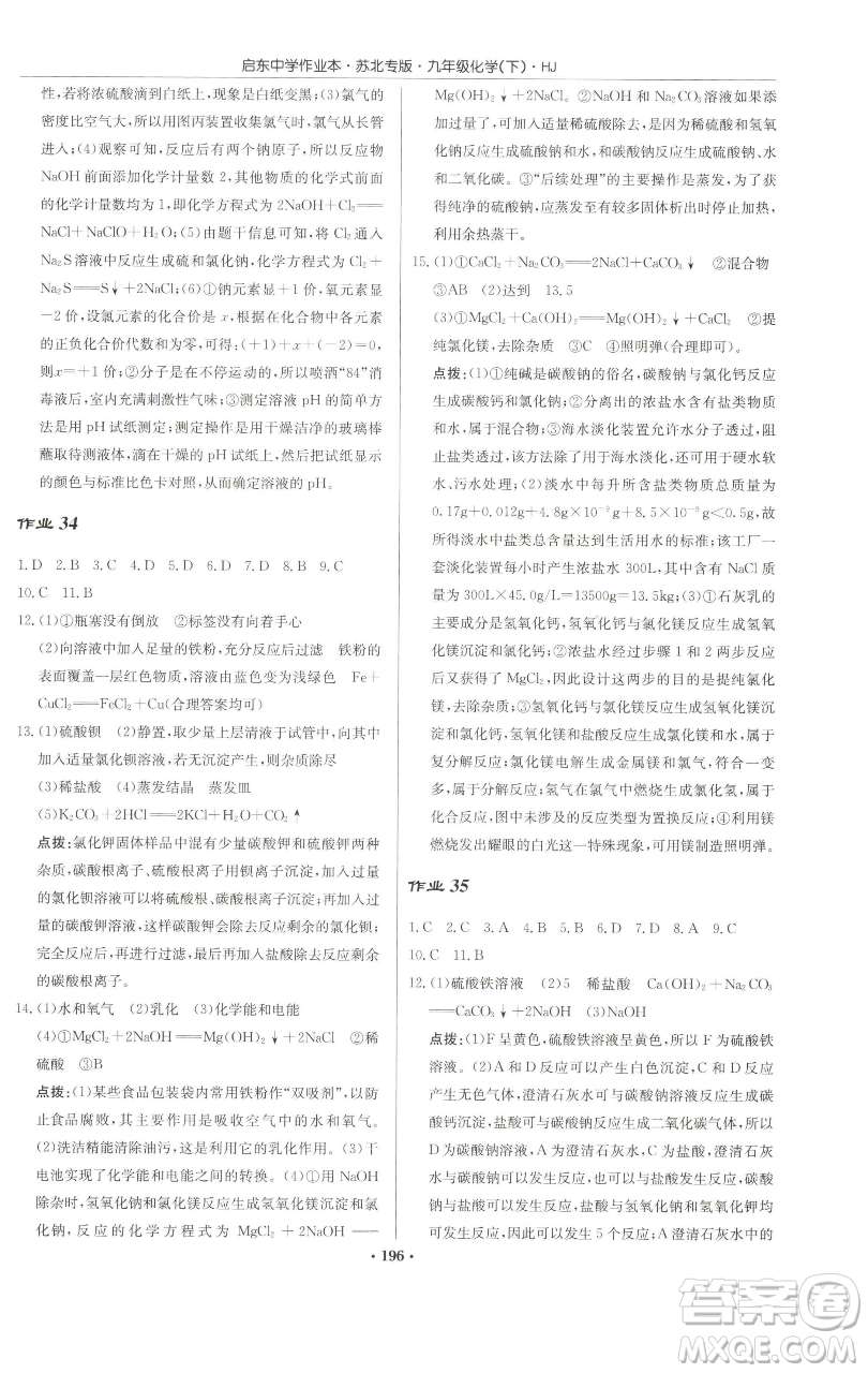 龍門書局2023啟東中學(xué)作業(yè)本九年級(jí)下冊(cè)化學(xué)滬教版蘇北專版參考答案