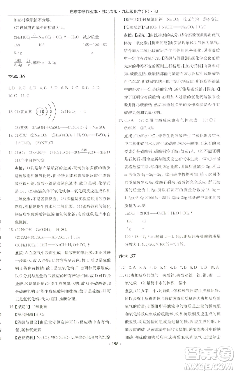 龍門書局2023啟東中學(xué)作業(yè)本九年級(jí)下冊(cè)化學(xué)滬教版蘇北專版參考答案